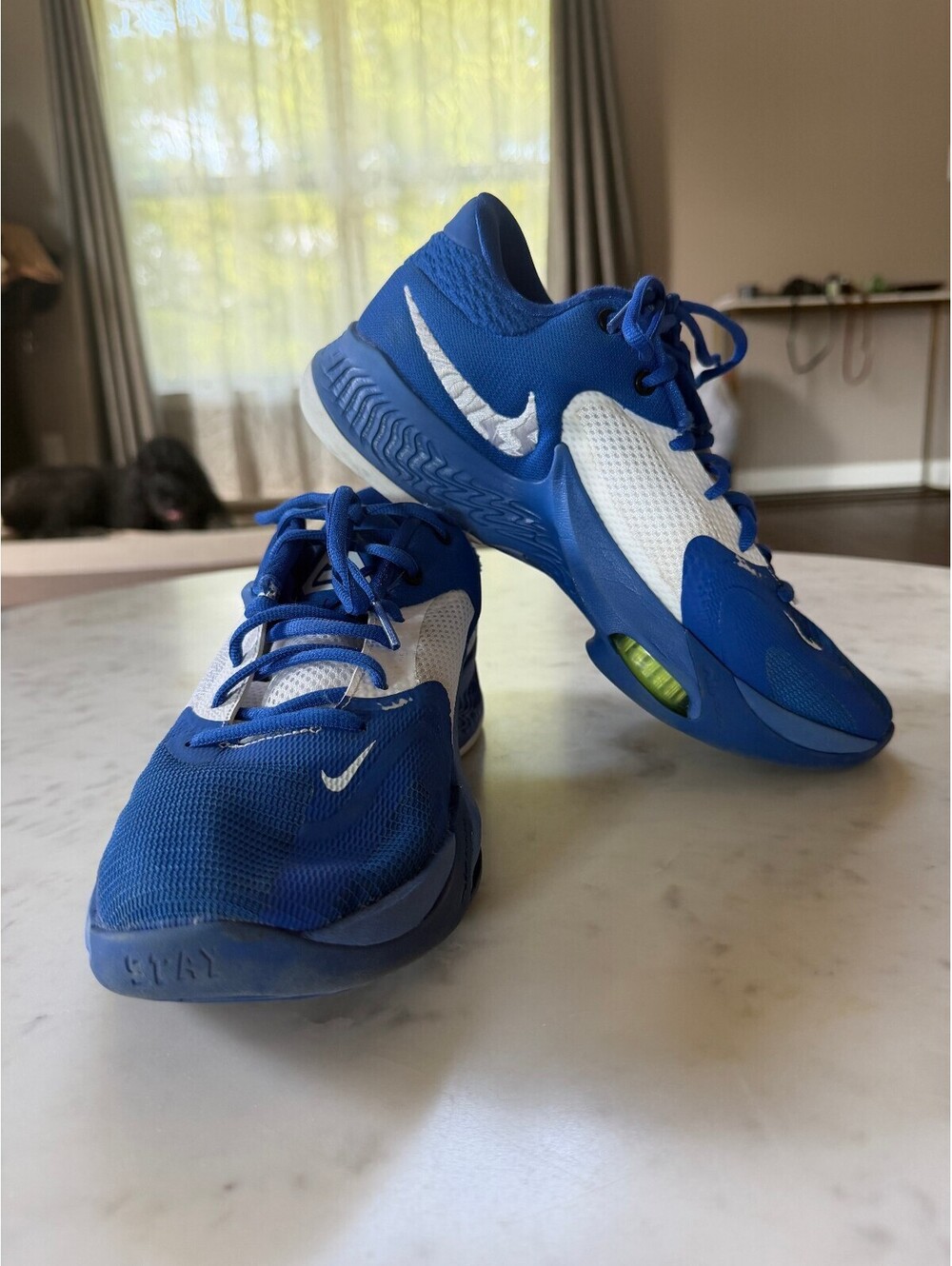 Nike Zoom Freak 4 TB in 'Game Royal' colorway - Size 8